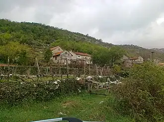 Gojšina