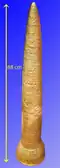Le cône d'or d'Ezelsdorf-Buch&nbsp;(en) vers 1000-800 av. J.-C.