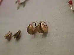 Boucles d'oreille en or de la tombe no&nbsp;20.