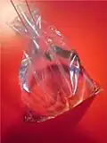 Un sac rempli d'eau.