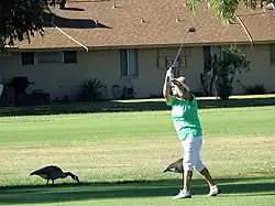 Golf.