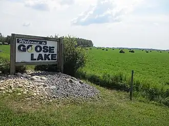 Goose Lake (Alberta)