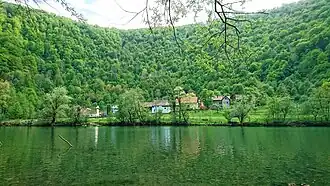 Goršeti