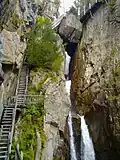 Escaliers dans les gorges du Dailley.
