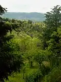 Les gorges vues de la terrasse du parc du Château.