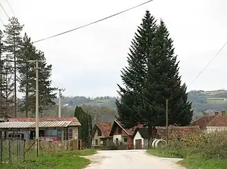 Gornji Branetići