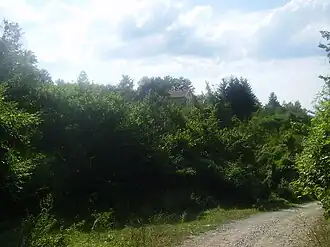 Gornji Mračaj