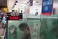 Des spécimens vivants en vente&nbsp;(en) dans un marché de Jakarta, en Indonésie.