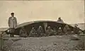 1906