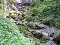 Le ruisseau.