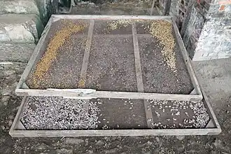 Grains de café et fèves de cacao grillés.