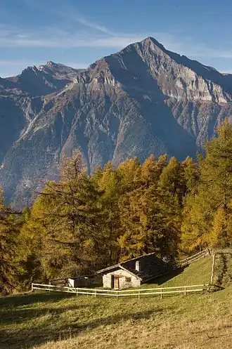 Le Grand Chavalard