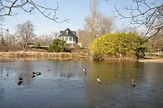 L'île des Ibis.