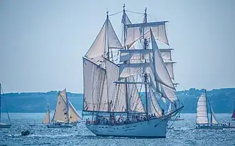 Grande parade dans le goulet de Brest en 2016.