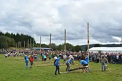 Des troncs d'arbres debout et coupés pendant l'épreuve de bûcheronnage