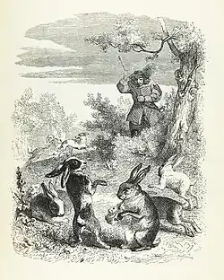 Les Lapins.