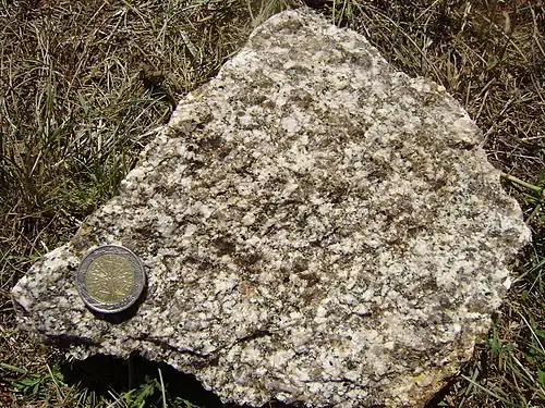 Granodiorite de Piégut-Pluviers.