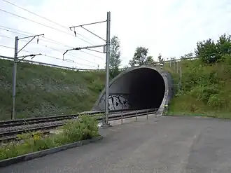 Image illustrative de l’article Tunnel du Grauholz