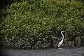 Vue depuis les jumelles disponibles dans la tour d'observation des oiseaux