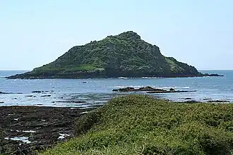 Vue du Great Mewstone depuis Wembury Point, en 2008.