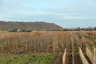 Grebbeberg vu du sud.