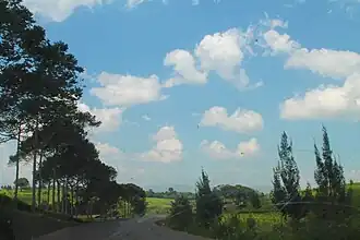 Kyenjojo