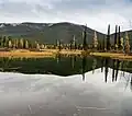 Un deuxième étang, vu de la route.