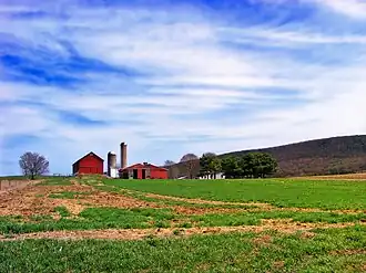 Greene Township (comté de Clinton, Pennsylvanie)