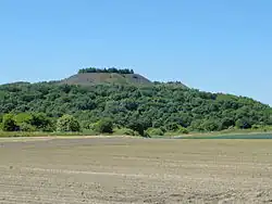 Le terril no&nbsp;58.