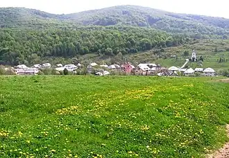 Gribov