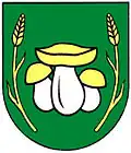 Blason de Gribov