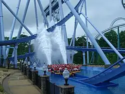 Griffon