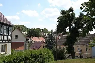 Großbockedra