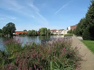 Müllrose
