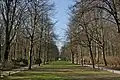Allée dans le parc Großer Tiergarten