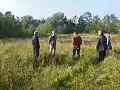 Groene Putte, Stekene