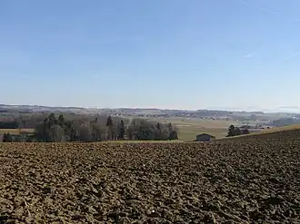 Montilliez