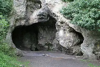 Image illustrative de l’article Grotte de Spy