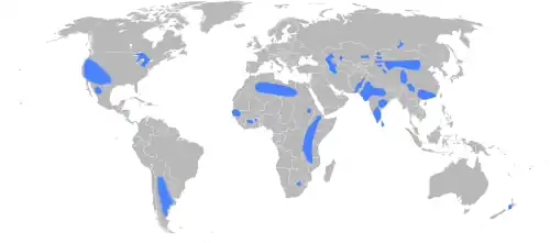 World map with several land areas highlighted, especially in China, India, east Africa, southwest U.S., and Argentina.