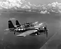 Deux Wildcat en formation.