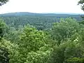 Vue de la forêt depuis Teufelsberg.
