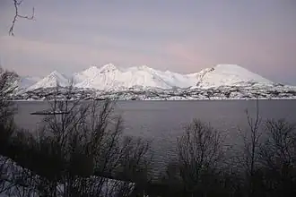 Bjarkøy