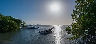 El Guamache