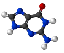 Image illustrative de l’article Guanine