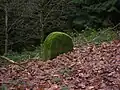 Une borne dans la forêt.