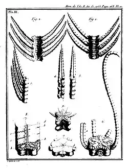 1re partie, pl. 3