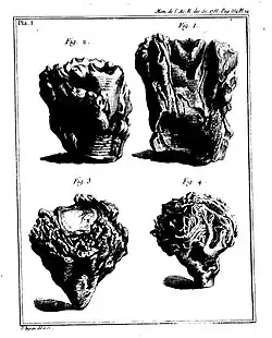2e partie, pl. 1
