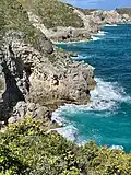 Gueule Grand gouffre, Guadeloupe.