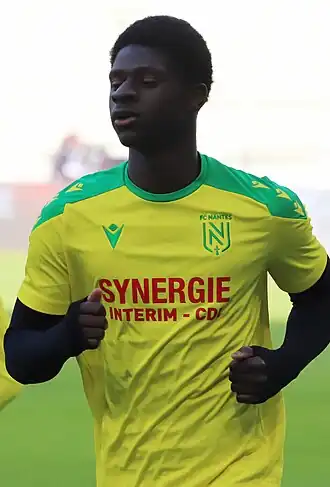 Image illustrative de l’article Herba Guirassy