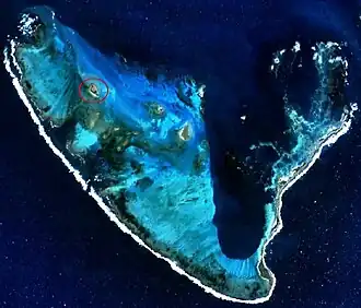 Image illustrative de l’article Gun Island